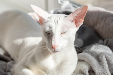 Similar image 21031708