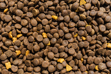 Similar image 21031712