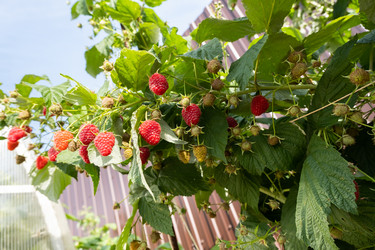 Similar image 21031716