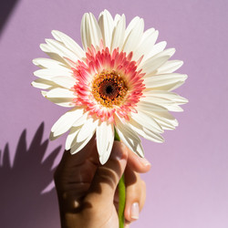 Similar image 21031757