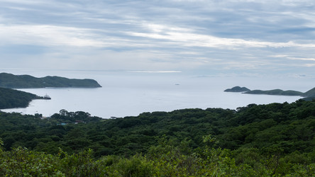 Similar image 21031759