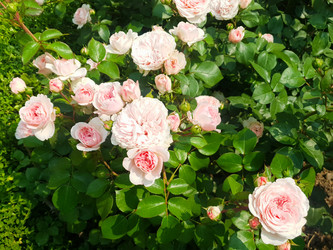 Similar image 21031762