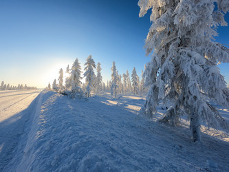 Similar image 21031765