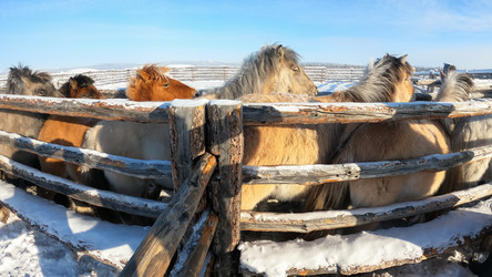 Similar image 21031766