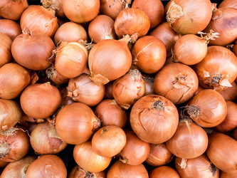 Similar image 21031768