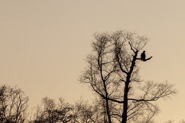 Similar image 21031773