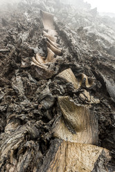 Similar image 21031775