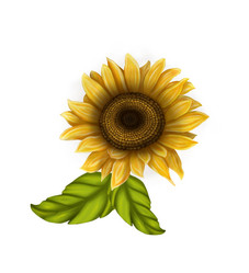 Similar image 21078984