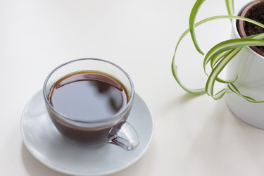 Similar image 21078832