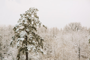 Similar image 21078833