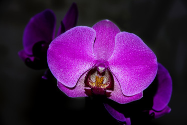 Similar image 21078936