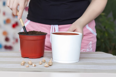 Similar image 21078941