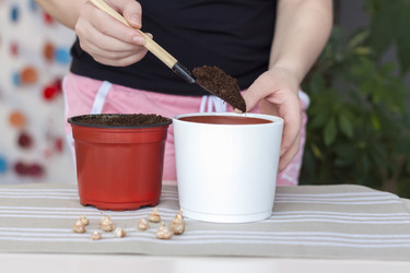 Similar image 21078944