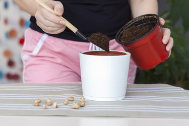 Similar image 21078948