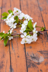 Similar image 21078961