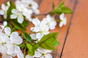 Similar image 21078963