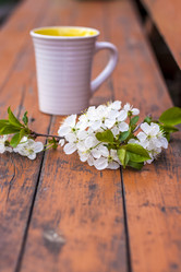 Similar image 21078970