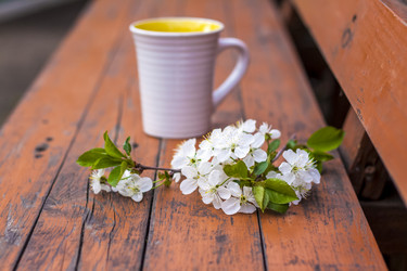 Similar image 21079006