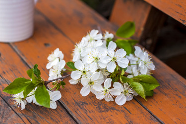 Similar image 21079008