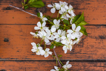 Similar image 21079016