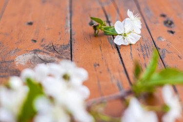 Similar image 21079022