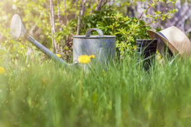 Similar image 21076391