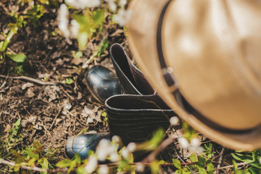 Similar image 21076398