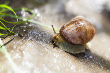 Similar image 21078467