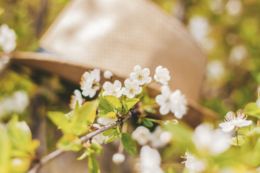 Similar image 21076400