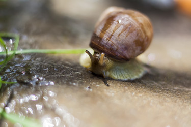 Similar image 21076403