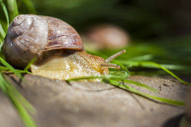 Similar image 21078471