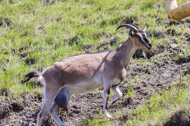 Similar image 21076404