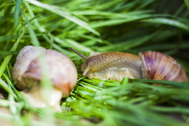 Similar image 21078474