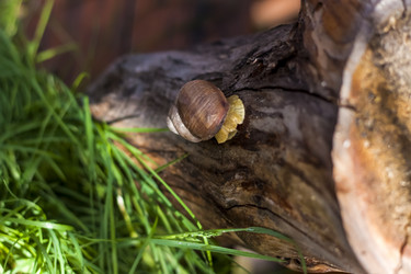 Similar image 21078476