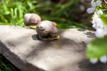 Similar image 21078478