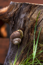 Similar image 21078480