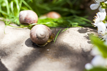 Similar image 21078486