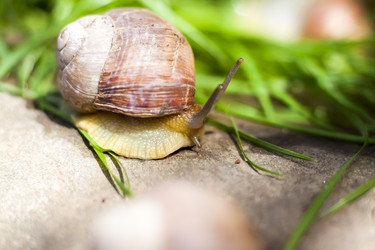 Similar image 21078839