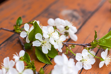 Similar image 21079043