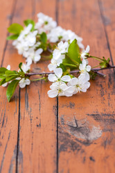 Similar image 21079044