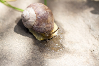 Similar image 21079046