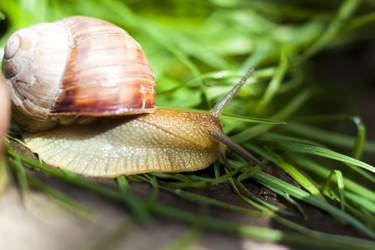 Similar image 21079054