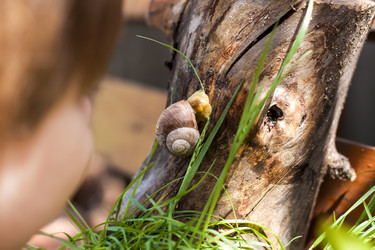 Similar image 21079058