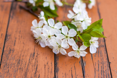 Similar image 21079063