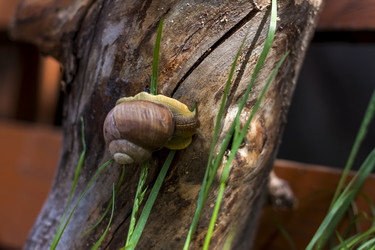 Similar image 21079065