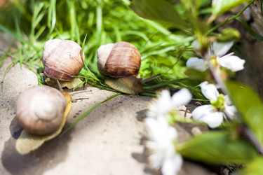 Similar image 21079068