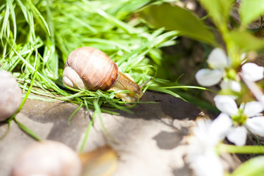 Similar image 21079069