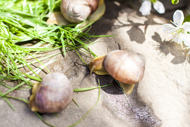 Similar image 21079070