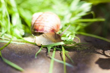 Similar image 21079071