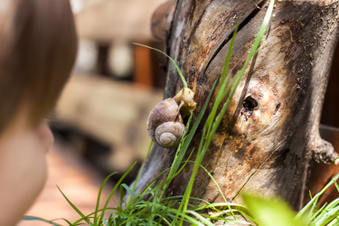 Similar image 21079301